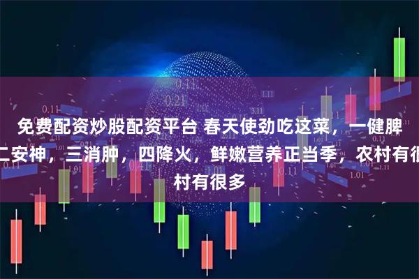 免费配资炒股配资平台 春天使劲吃这菜，一健脾，二安神，三消肿，四降火，鲜嫩营养正当季，农村有很多